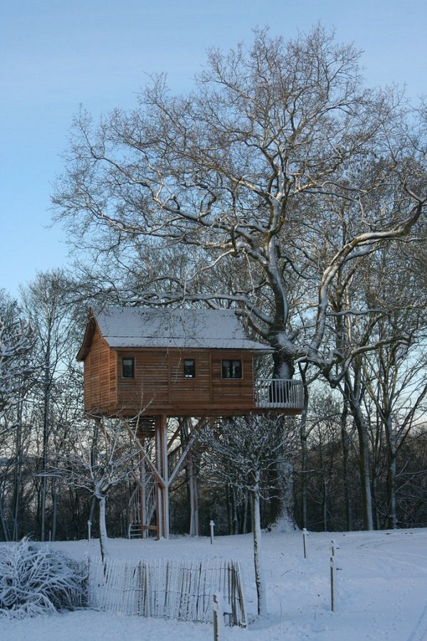 Домик на дереве в Бельгии