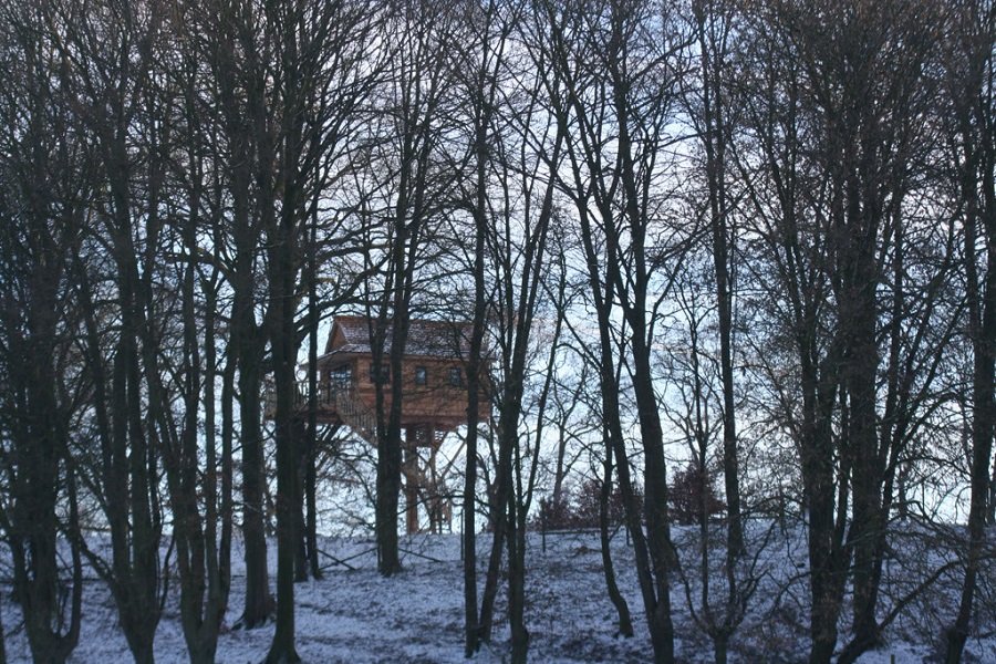 Домик на дереве в Бельгии